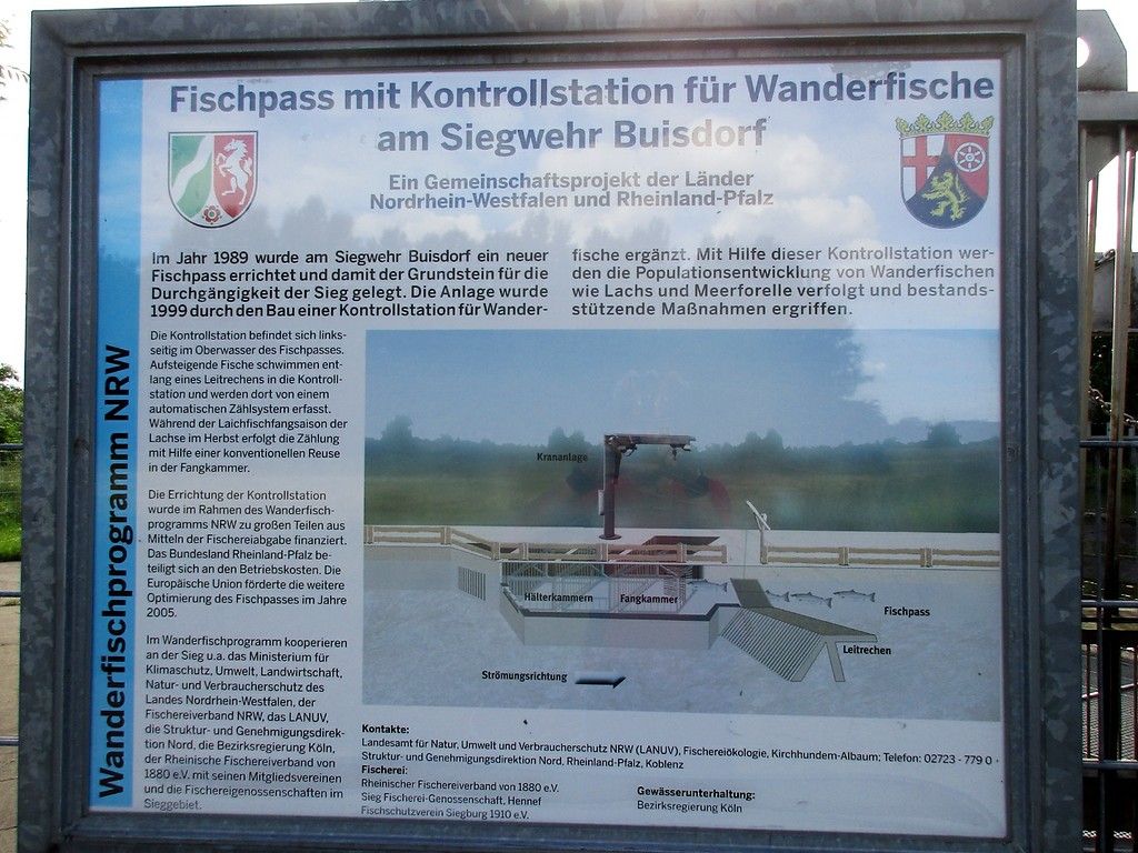 Tafel mit Erläuterungen zur Fischtreppe / Fischpass und Kontrollstation für Wanderfische am Siegwehr Buisdorf bei Sankt Augustin-Buisdorf (2016).
