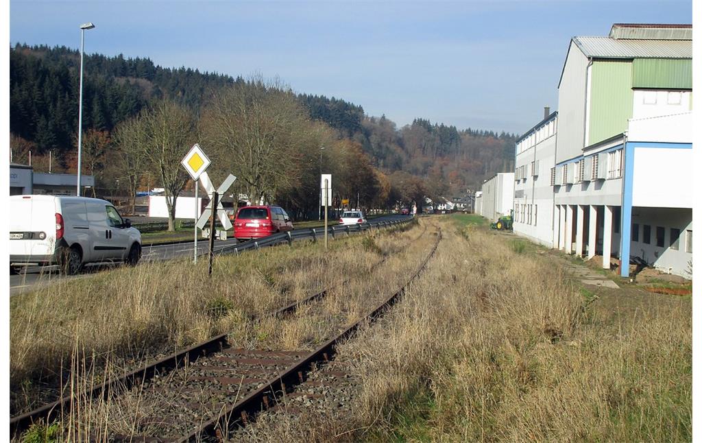 Gleise der Eisenbahnstrecke Kall - Hellenthal (Oleftalbahn) am Ortsausgang von Schleiden, Blumenthaler Straße (2016).