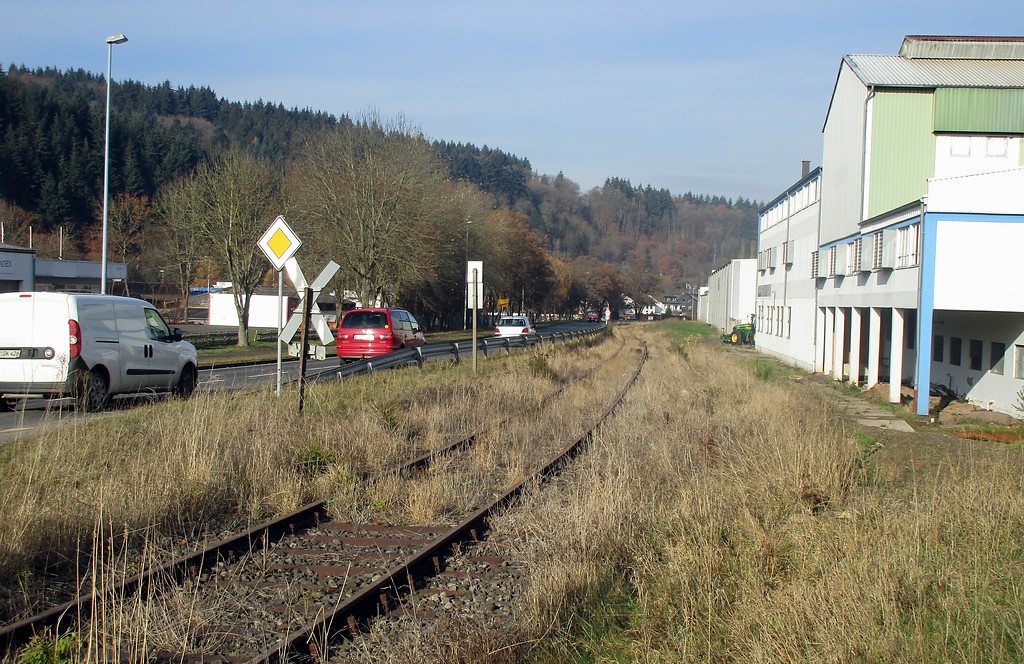 Gleise der Eisenbahnstrecke Kall - Hellenthal (Oleftalbahn) am Ortsausgang von Schleiden, Blumenthaler Straße (2016).