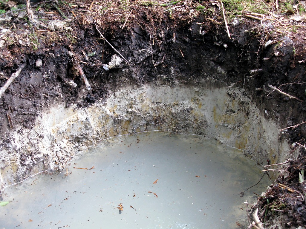 Bodenprofil mit hoch anstehendem Grundwasser im Further Moor bei Langenfeld (2009)