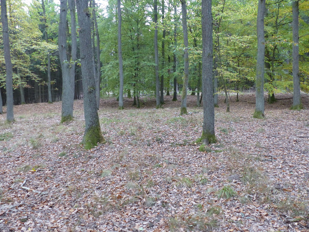 Der Standort des Wachtturmes im Inneren des Kastells Ockstädter Wald bei Friedberg in Hessen (2018)