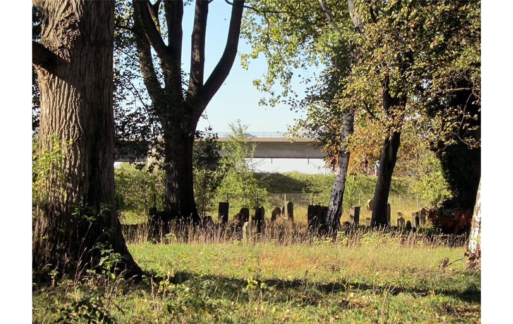 Blick vom Jüdischen Friedhof Beuel in Schwarzrheindorf auf die Friedrich-Ebert-Brücke im Hintergrund (2011).