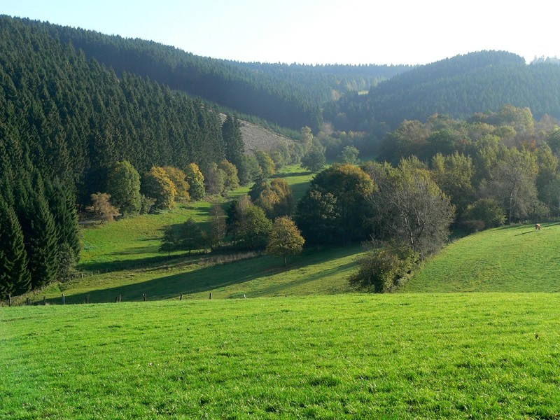 Bachtal bei Brilon im Hochsauerlandkreis (2005)