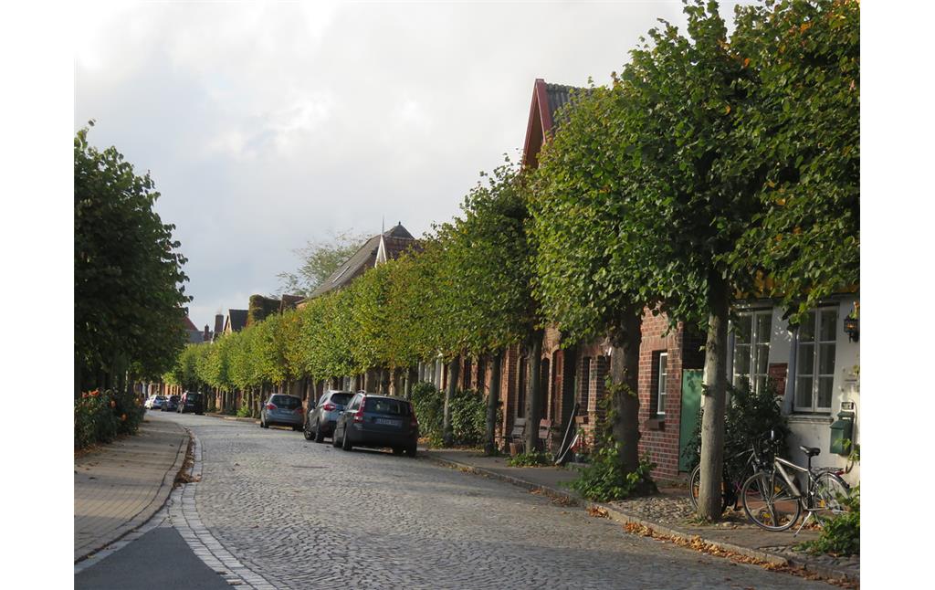 Sorgfältig gestutzte Linden säumen die Dorfstraße in Wewelsfleth (2018).