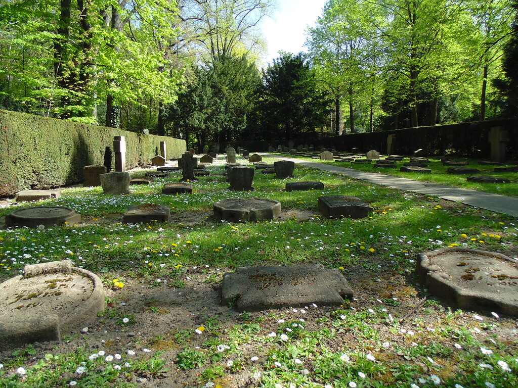Individualisierte Gräberreihen des Ersten Weltkriegs auf dem Kriegsgräberfeld V1 auf dem Melatenfriedhof in Köln-Lindenthal(2020).