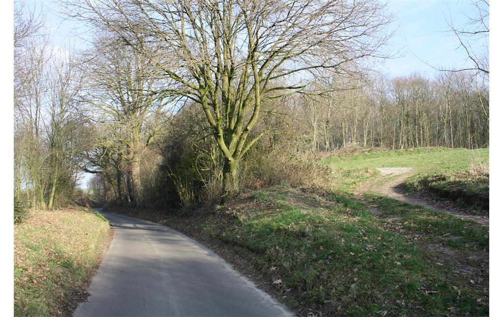 Dassendaler Weg in Sonsbeck als Hohlweg (2014)