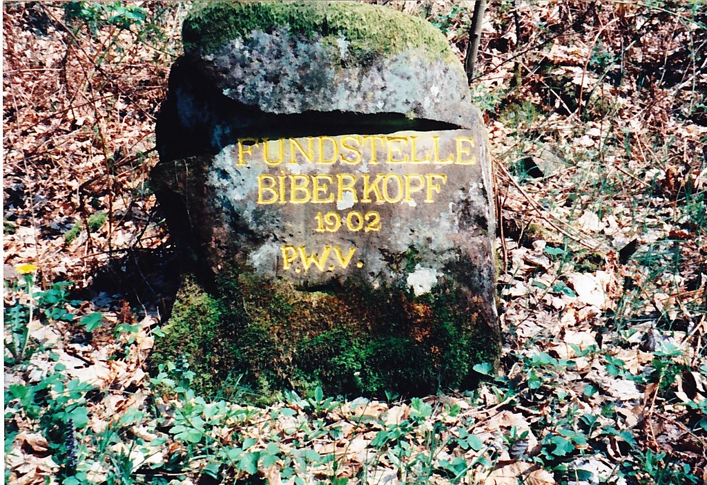 Ritterstein Nr. 17 "Fundstelle Biberkopf 1902" bei Niederschlettenbach (1998)
