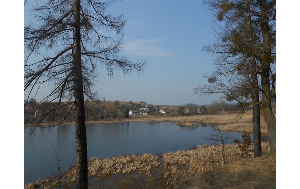 Northwestern part of the lake that surrounds Svirzh Castle (2021)