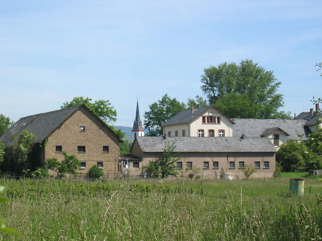 Gutshof Mariannenaue in Eltville (2005)