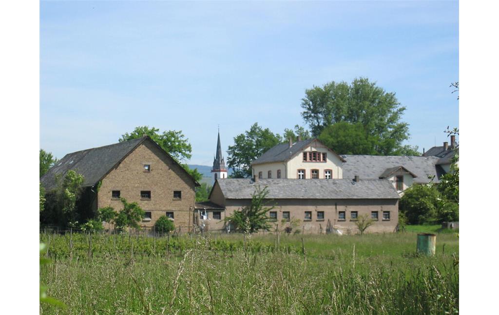 Gutshof Mariannenaue in Eltville (2005)