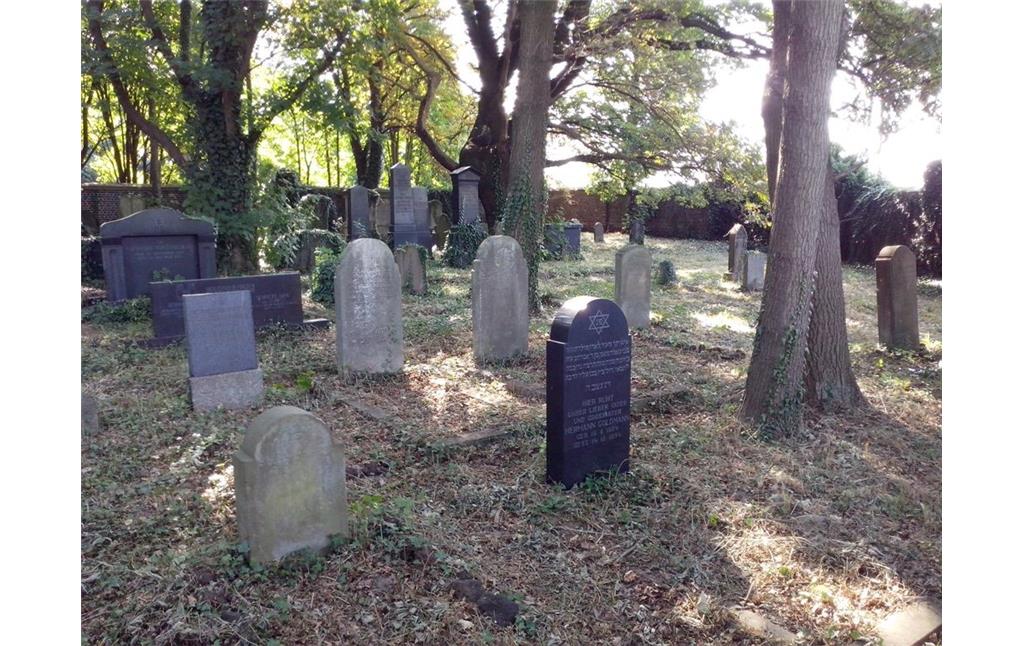 Gräberfeld auf dem jüdischen Friedhof in Köln-Mülheim (2013)
