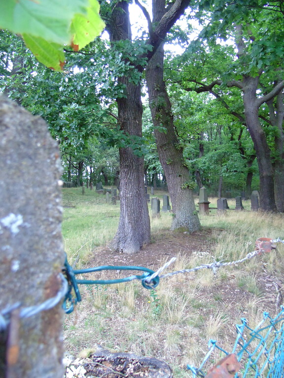 Blick auf den eingezäunten jüdischen Friedhof Mechernich (2020).