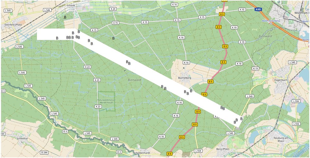 Übersichtskarte zu Bunker-Relikten an der Hauptkampflinie des Westwalls im Bienwald (2018).