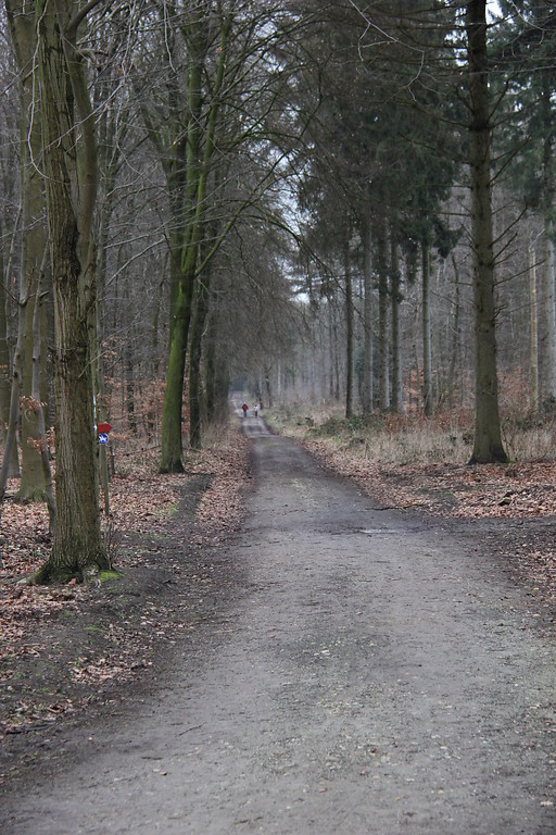Waldweg im Hochwald am Forsthaus Nachtigall bei Uedem (2013)