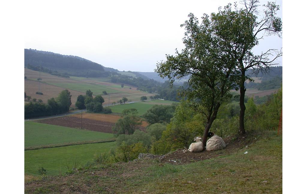 Blick vom Halberg in das Mörscher Wichtetal (2009)