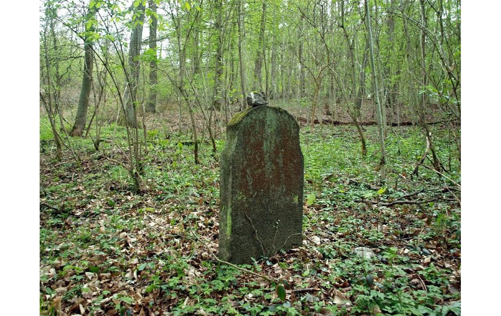 Einzelner Grabstein des jüdischen Friedhofs im "Fürstlich Elzer Wald" bei Wierschem (2010).