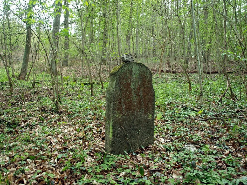 Einzelner Grabstein des jüdischen Friedhofs im "Fürstlich Elzer Wald" bei Wierschem (2010).