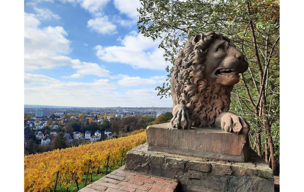 Die Weinlage Neroberg in Wiesbaden von der Löwenterrasse aus aufgenommen mit Blick in westliche Richtung (2020).