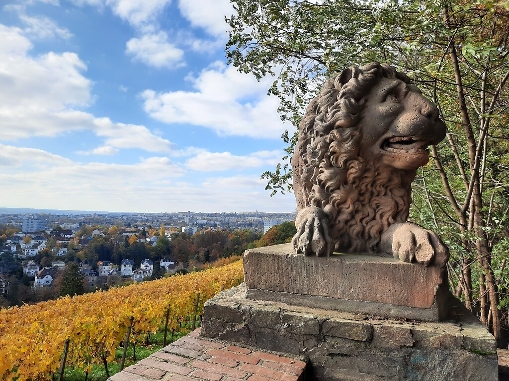 Die Weinlage Neroberg in Wiesbaden von der Löwenterrasse aus aufgenommen mit Blick in westliche Richtung (2020).