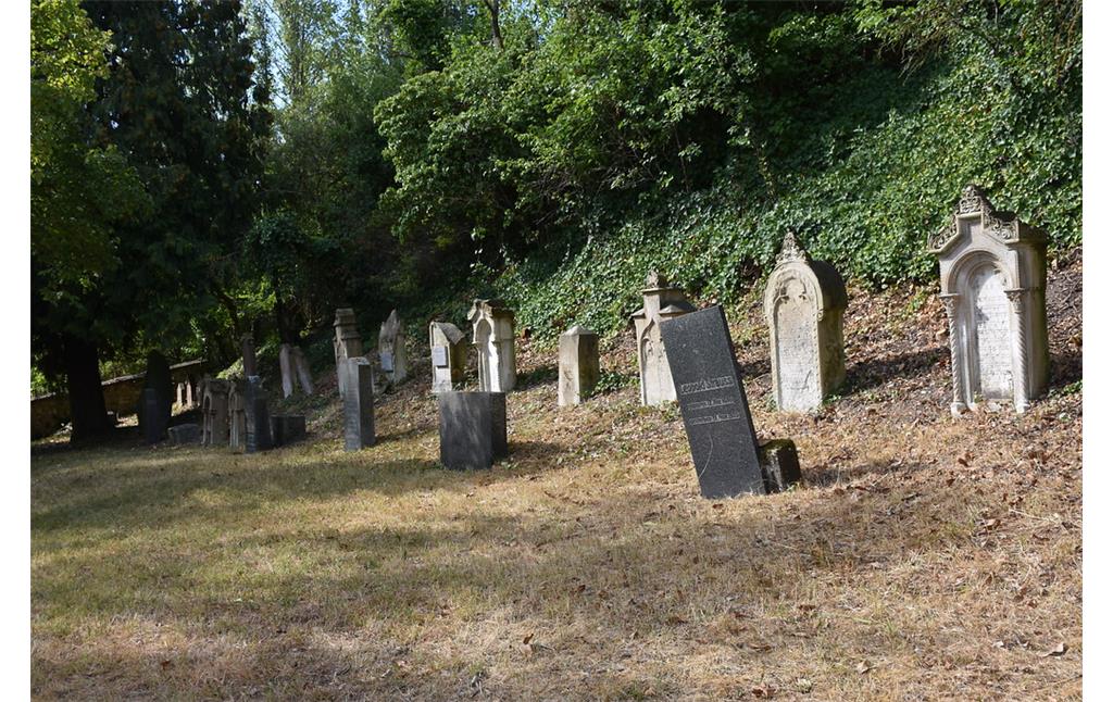 Jüdischer Friedhof in Albisheim (2018)