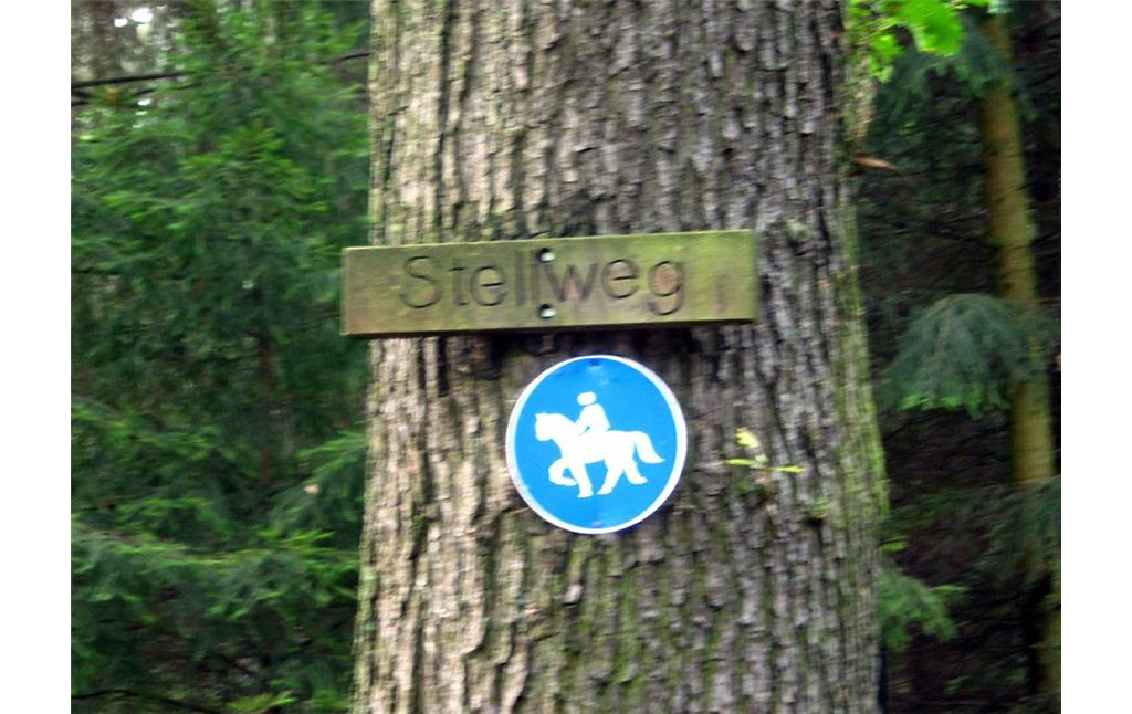 Stellweg in der Wahner Heide (2011)