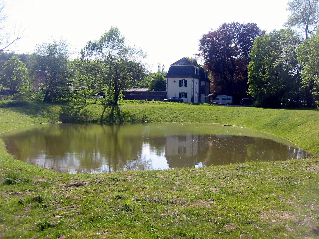 Ein 2010 in historischer Lage wieder angelegter Fischteich an der ehemaligen Zisterzienserabtei Heisterbach (2011).