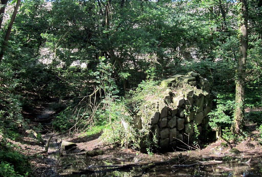 Behauene Quarzitsteine ("Ravensberger Brocken") einschließlich Trassverfüllung im zentralen Teich am Mottenhügel beim "Historischen Denkmal Haus Rott" in Troisdorf-Rotter See (2014)