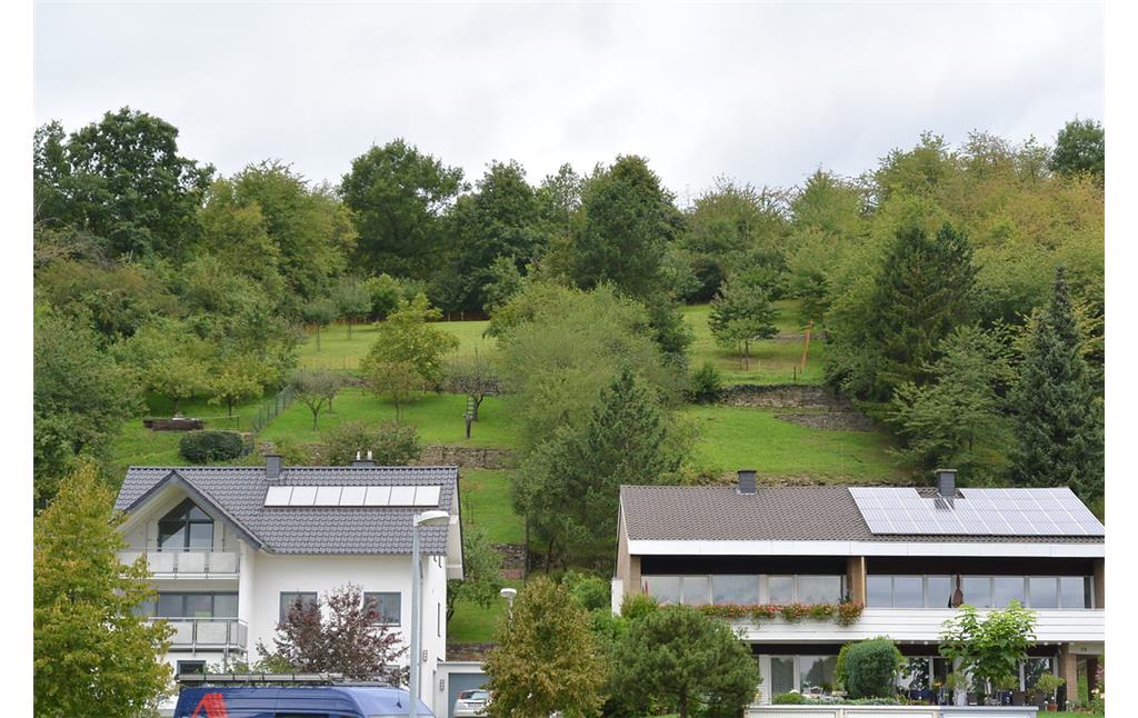Ehemalige Weinbergsflächen am westlichen Ortsrand von Sinzig-Bad Bodendorf (2014)
