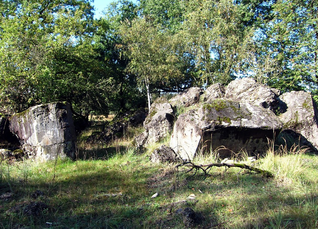 Ruine eines Bunkers in der Wahner Heide (2011)
