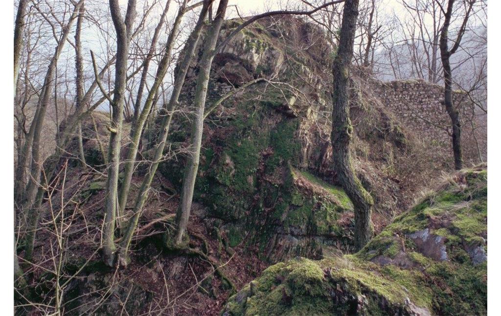 Halsgraben und Schildmauerreste von Nordwest (2004)