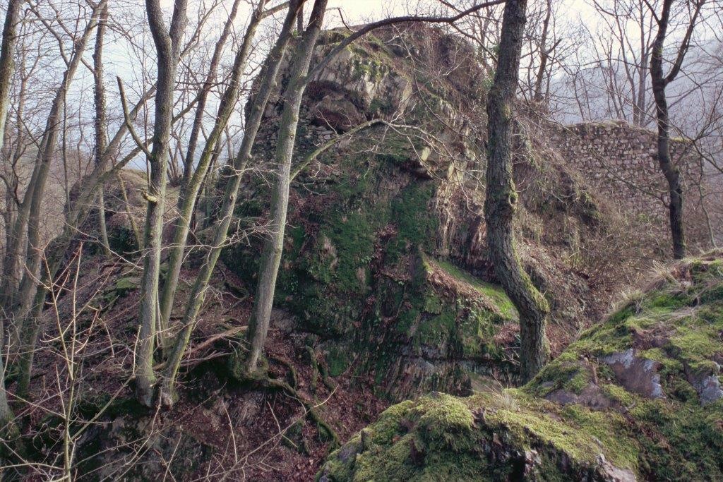 Halsgraben und Schildmauerreste von Nordwest (2004)