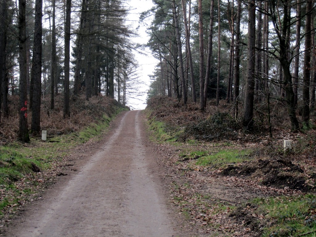 Jagenweg mit Grenzsteinen im Reichswald (2012)
