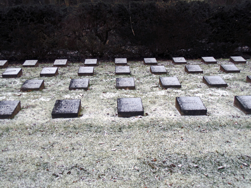 Grabsteine von Opfern der NS-Krankenmorde auf dem Gräberfeld für deutsche und ausländische Opfer des Nationalsozialismus auf dem Westfriedhof in Köln-Vogelsang (2021).