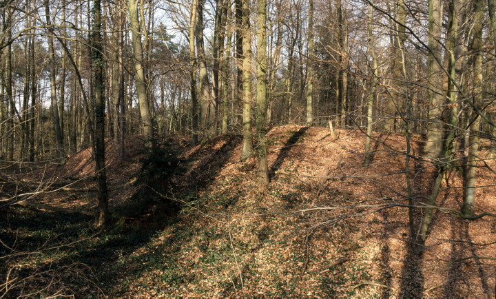 Die Stenderschanze an der Fossa Eugeniana bei Issum, Kreis Kleve (2007). In den Waldgebieten der Niersniederung haben sich die Reste von Befestigungsanlagen erhalten, die im 17. Jahrhundert zum Schutz des Kanalbauprojektes der so genannten Fossa Eugeniana zwischen Rhein und Maas angelegt wurden.