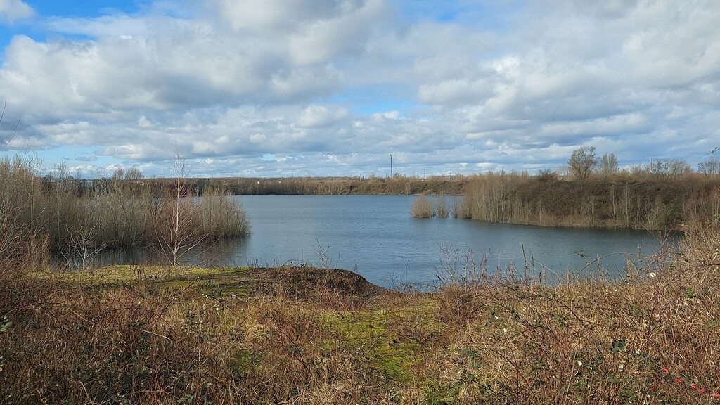 Blick über das Naturschutzgebiet Mondorfer See bei Niederkassel-Mondorf (2024).