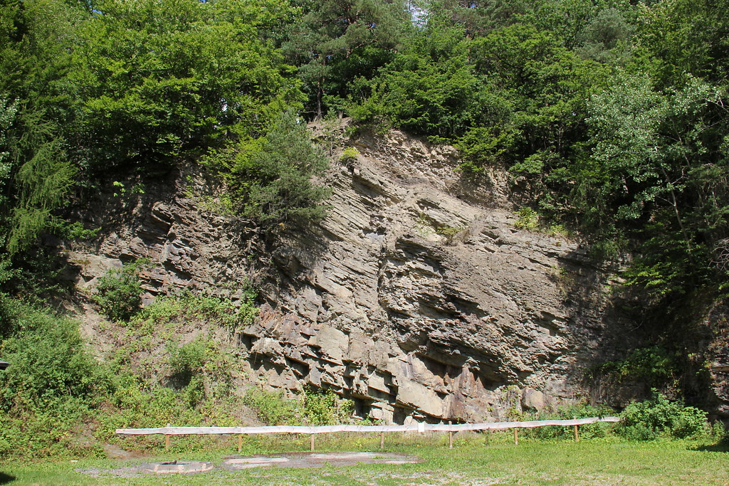 Abbruchkante des ehemaligen Steinbruchs von Bodenbach bei Kelberg (2013).