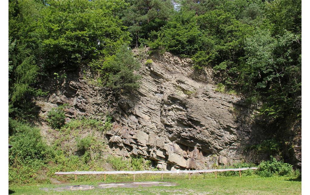 Abbruchkante des ehemaligen Steinbruchs von Bodenbach bei Kelberg (2013).