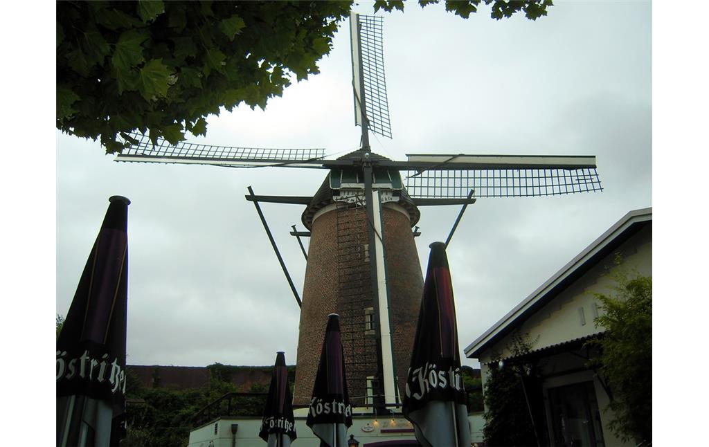 Die Baumeister Windmühle in Oberhausen-Buschhausen (2016)