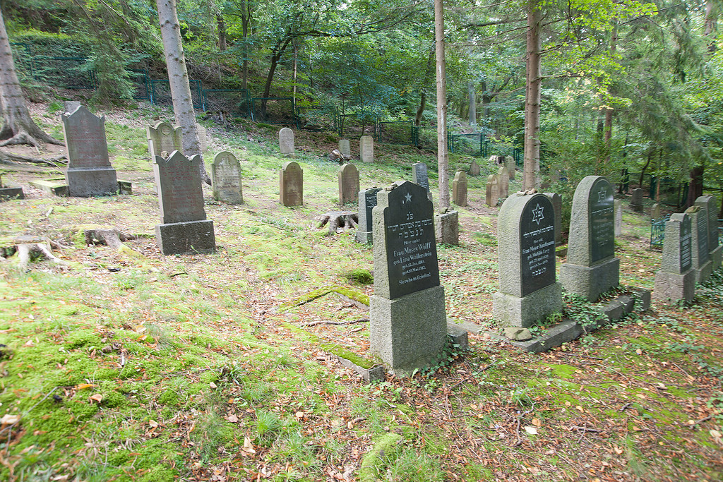 Jüdischer Friedhof im Queckenwald (2014)