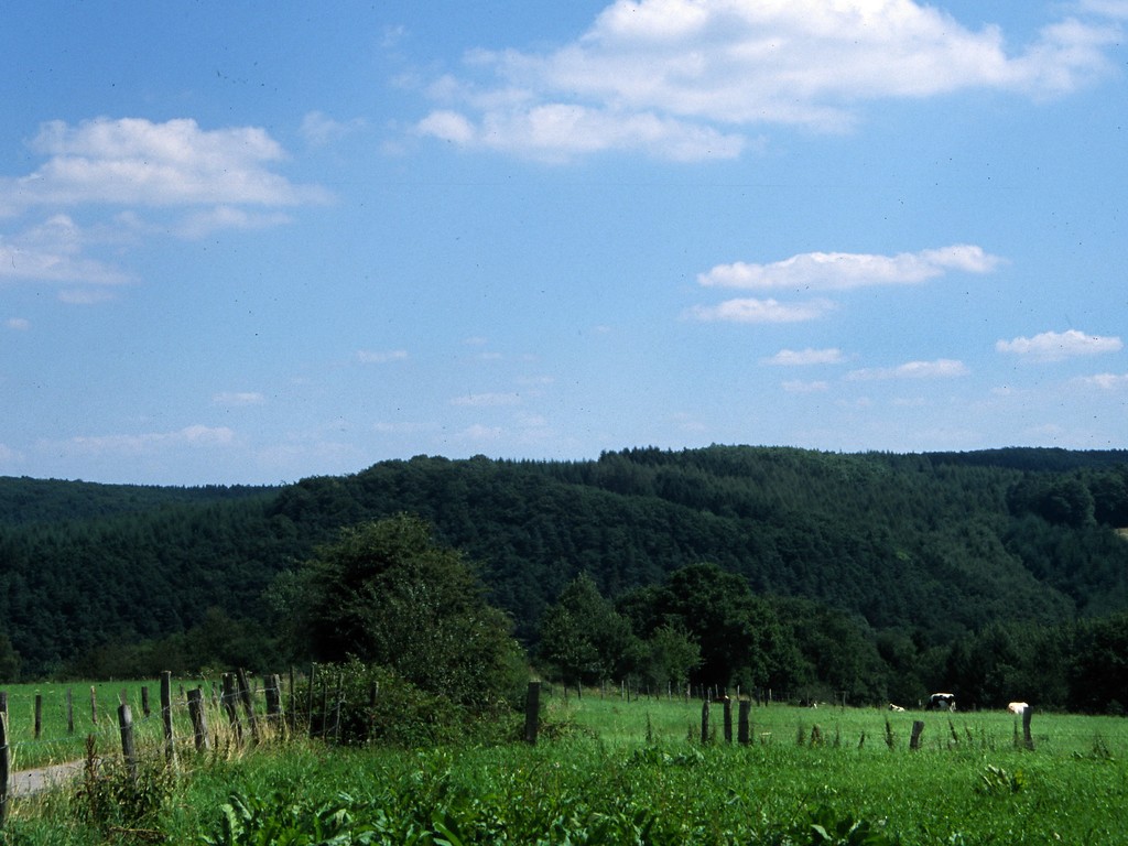 Kulturlandschaft der Nordeifel bei Stolberg-Schevenhütte mit beweidetem Grünland im Vordergrund und bewaldeten Bergrücken im Hintergrund (2006)