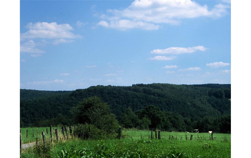 Kulturlandschaft der Nordeifel bei Stolberg-Schevenhütte mit beweidetem Grünland im Vordergrund und bewaldeten Bergrücken im Hintergrund (2006)