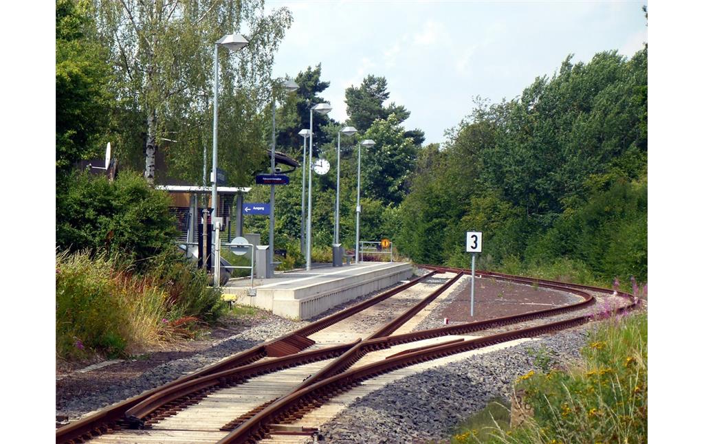 Bahnsteig und Gleisanlagen des Bahnhofs Emmelshausen (2014)