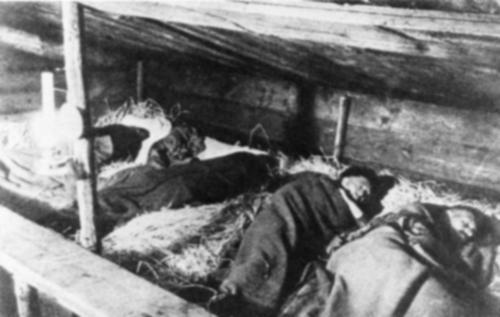 Provisorische Holzhütte auf einem Rheinfloß, die den Flößern als Schlafkammer dient (um 1910)