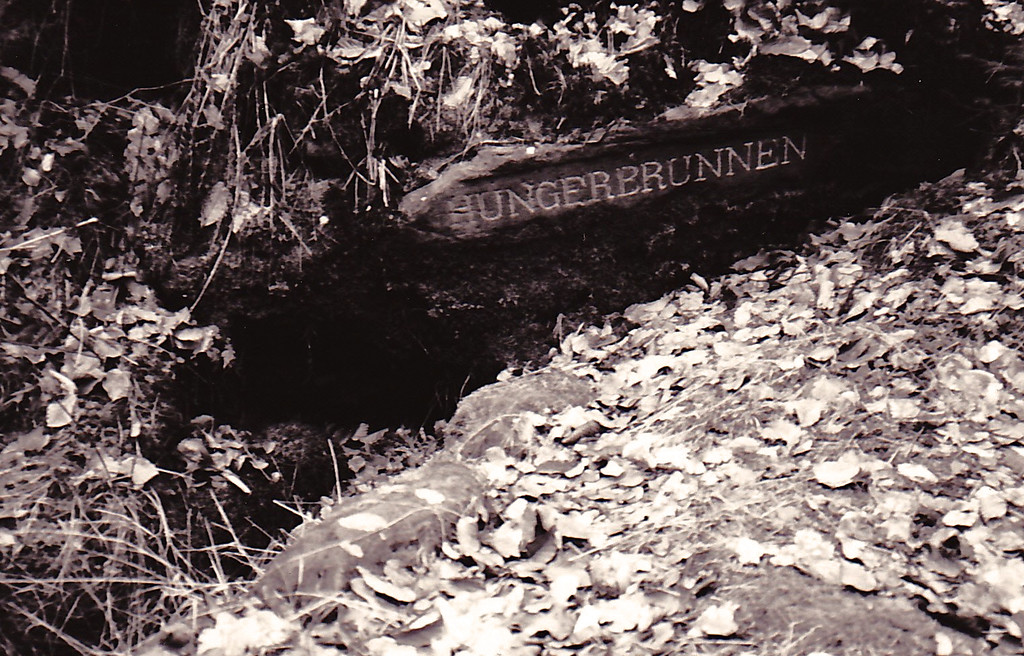 Ritterstein Nr. 165 "Hungerbrunnen" bei Diemerstein (1993)