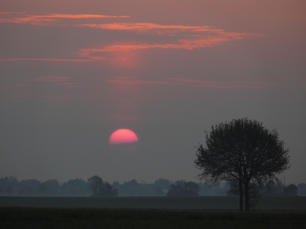 Sonnenaufgang in der Teverener Heide (2010)