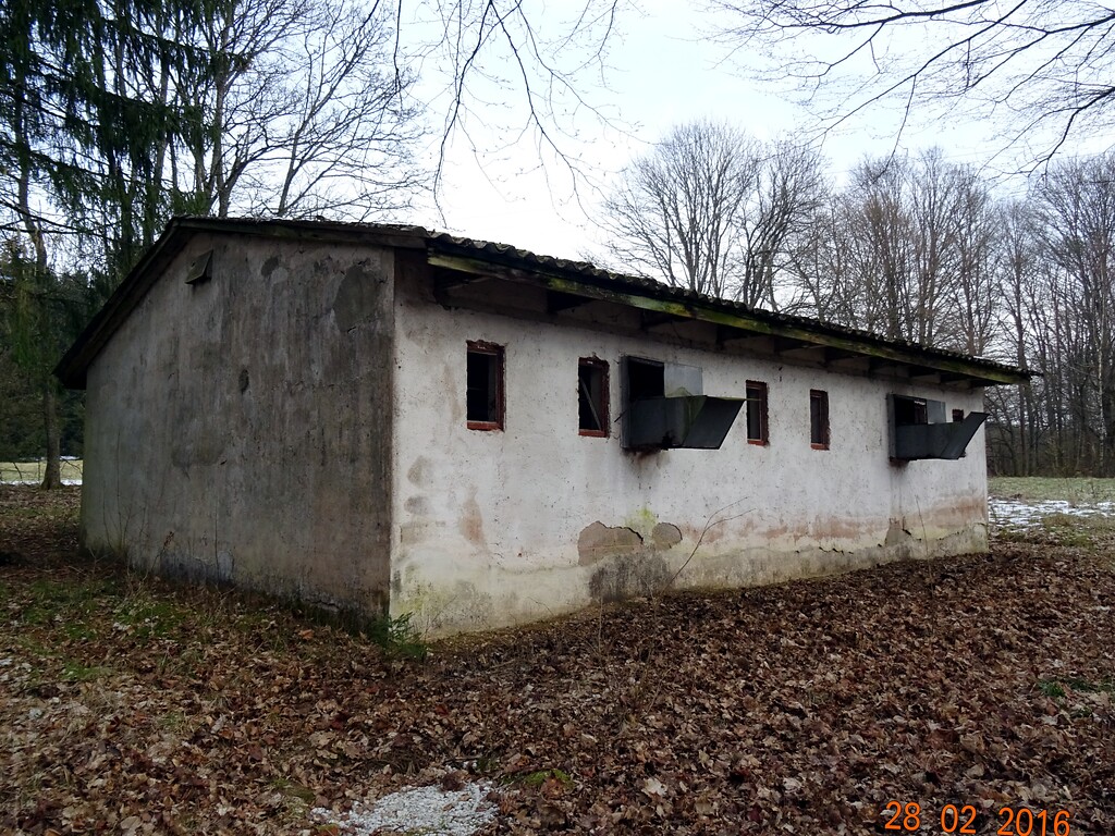 Verlassenes Wirtschaftsgebäude in Börfink (2016). Das Haus liegt versteckt zwischen Laubbäumen auf einem Grundstück, welches über einen Privatweg zu erreichen ist.