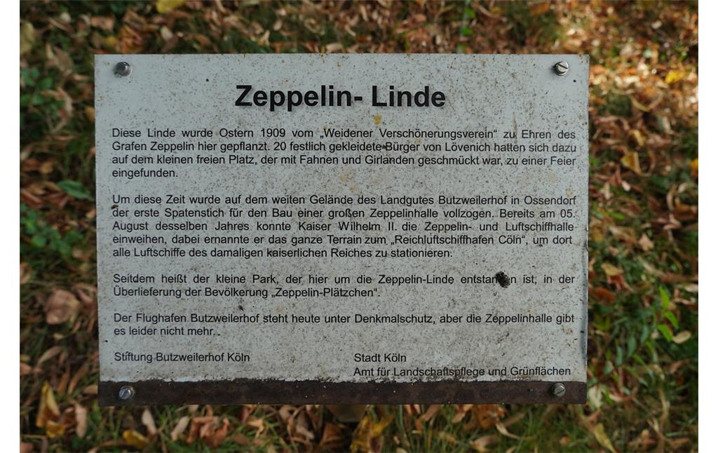 Informationsschild an der Zeppelin-Linde in Köln-Weiden (2021).