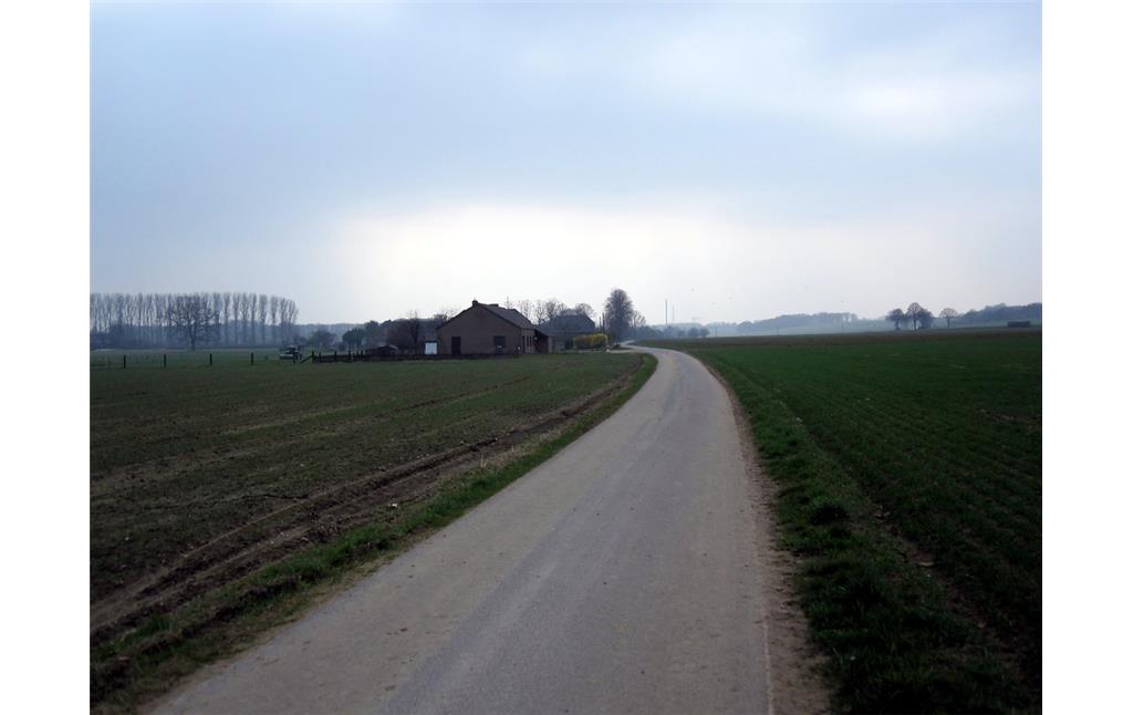 Uedemerfelder Weg (2011)