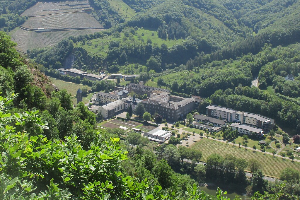 Blick vom Aussichtspunkt Brauselay am Conder Berg aus über die Mosel auf das Kloster Ebernach bei Cochem-Sehl (2020).