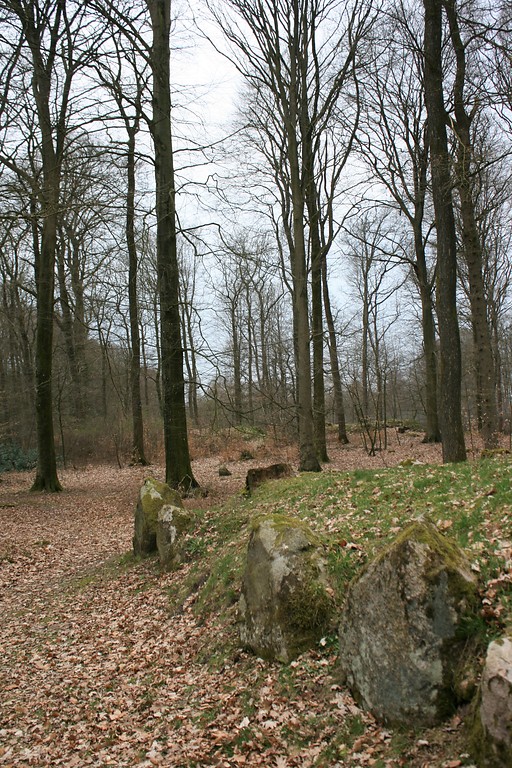 Großsteingrab "Langbett Albersdorf 48" im Steinzeitpark Dithmarschen (2019)